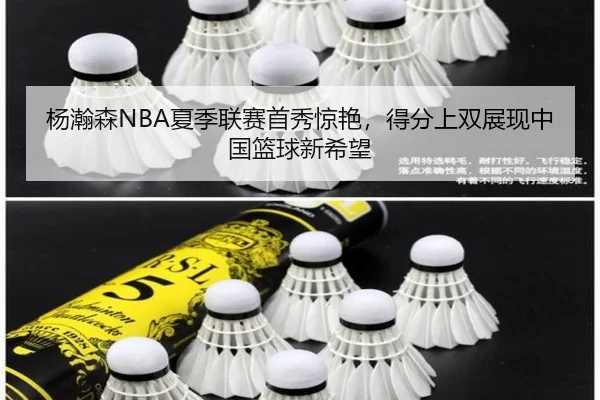 yang-han-sen-xia-ji-lian-sai-shou-xiu-jing-yan-de-fen-shang-shuang-zhan-xian-zhong-guo-lan-qiu-xin-xi-wang-3-975.jpg