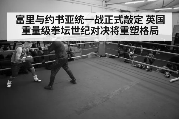 boxer training gym